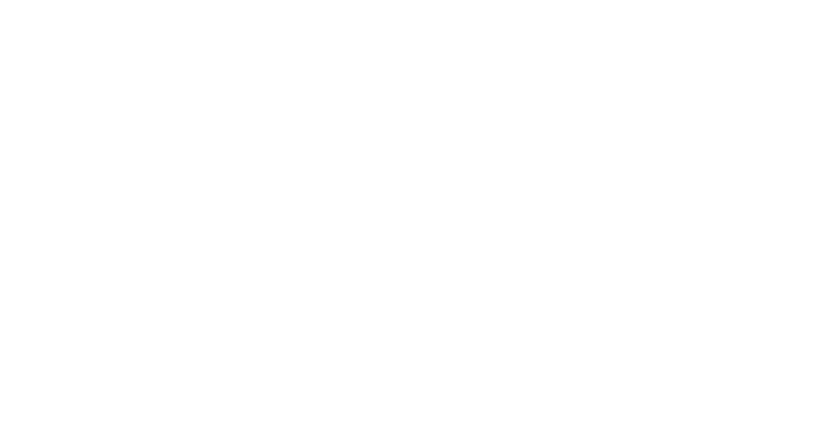 Revenge Engineering